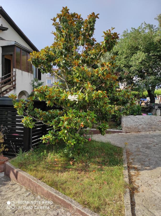Guesthouse Suzy Hiša za goste
