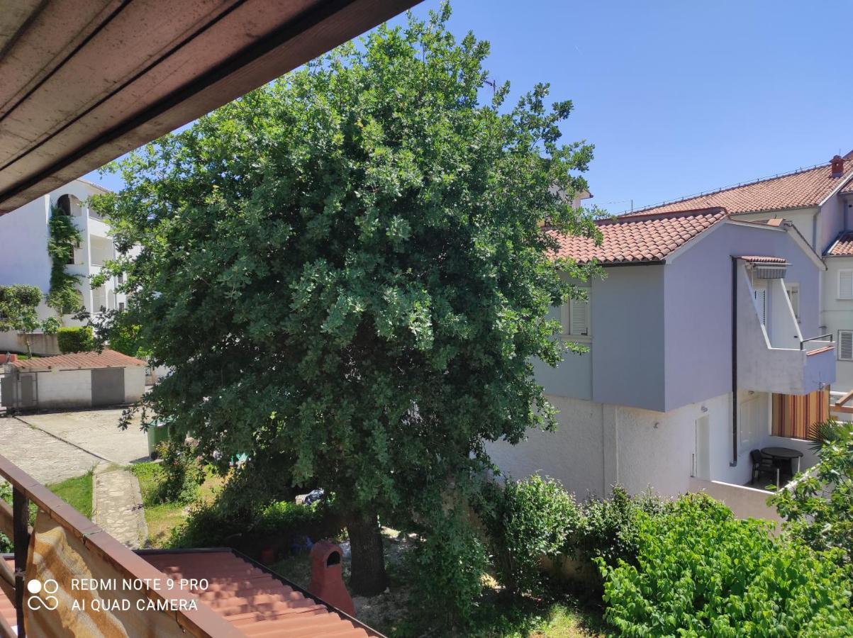 Guesthouse Suzy Hiša za goste