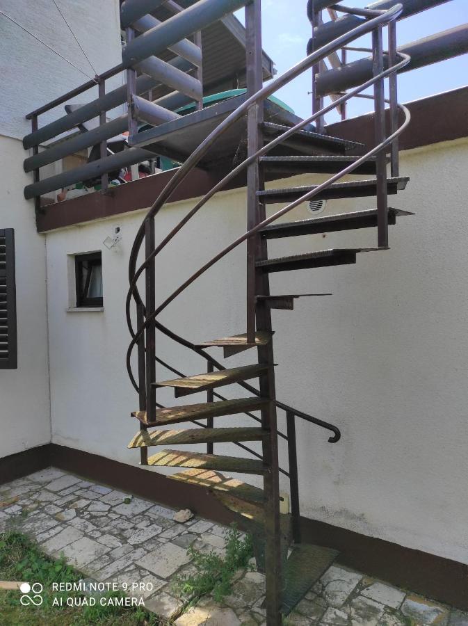 Hiša za goste Guesthouse Suzy
